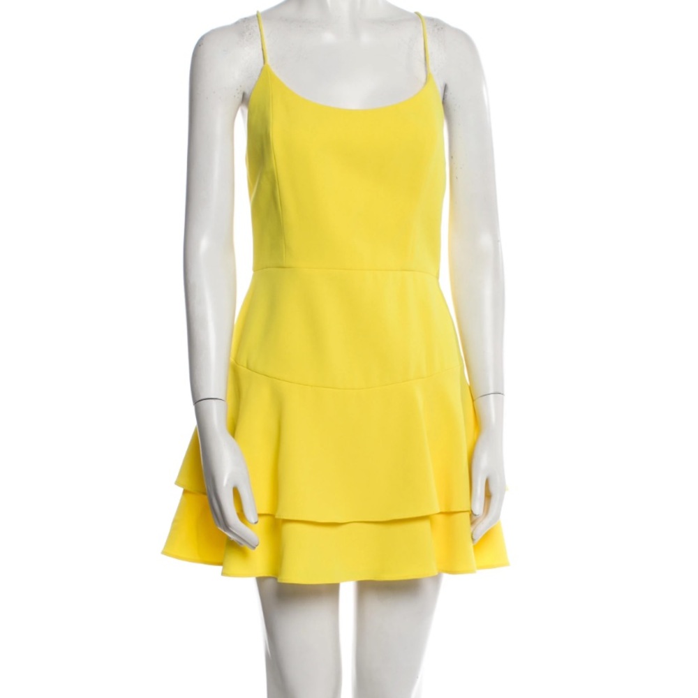 ALICE + OLIVIA Scoop Neck Mini Dress Size 6